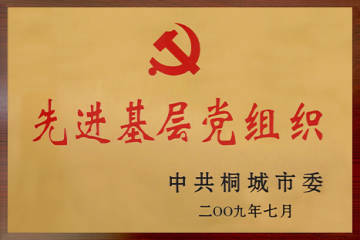 先进基层党组织